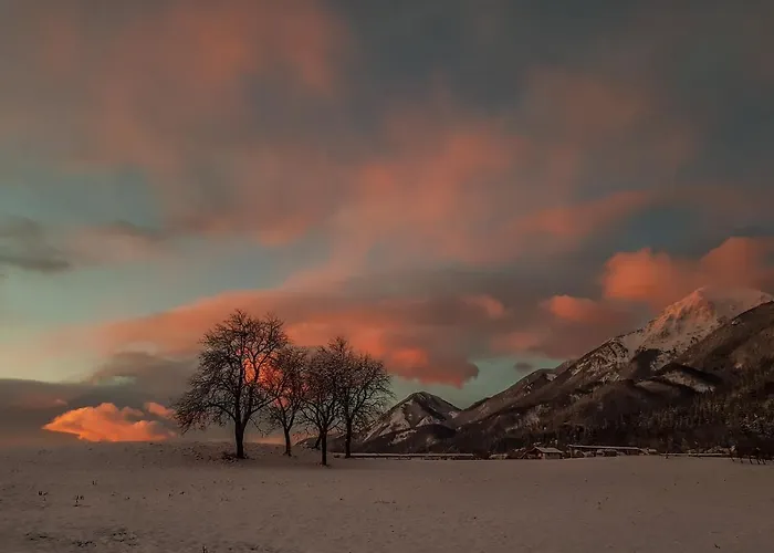 Affittacamere Ursa 3*